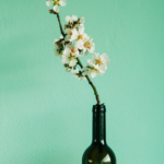 Breathwork, Mindfulness und Handy Detox Coaching in Wien – Einzelsession und Group Session